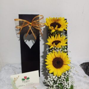 Economica girasol