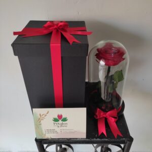 Caja Sorpresa