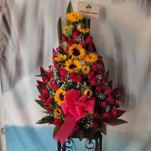 Delirio de Amor