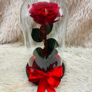 Rosa Preservada